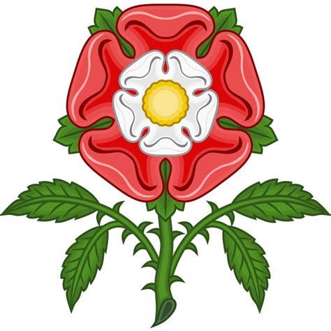 rosa tudor|picture of a tudor rose.